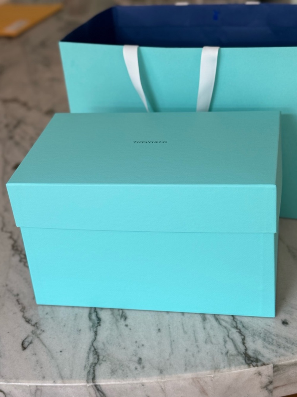 Tiffany & Co. Robin’s Egg Blue Gift Tote with White Ribbon